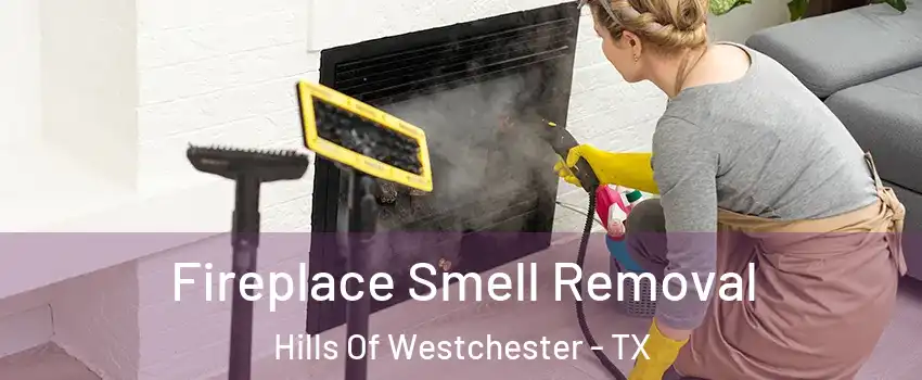 Fireplace Smell Removal Hills Of Westchester - TX