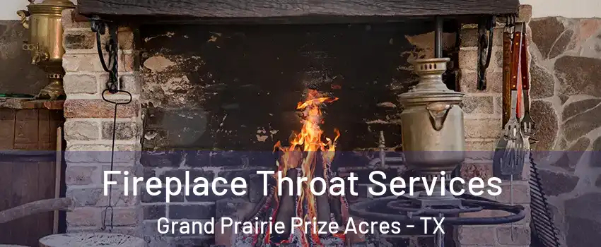 Fireplace Throat Services Grand Prairie Prize Acres - TX