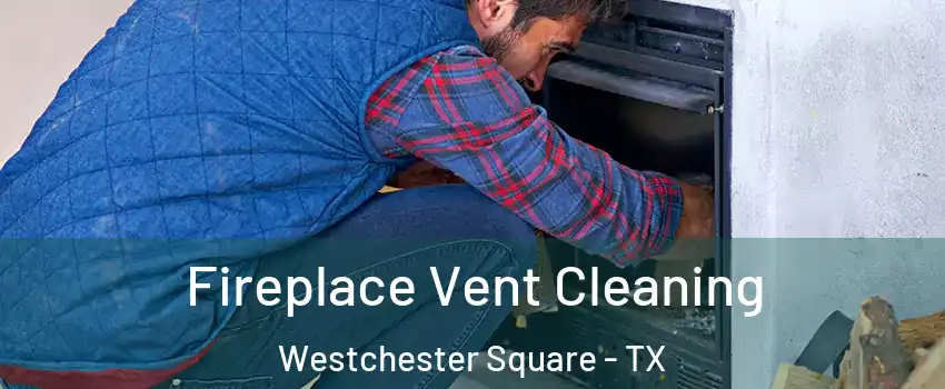 Fireplace Vent Cleaning Westchester Square - TX