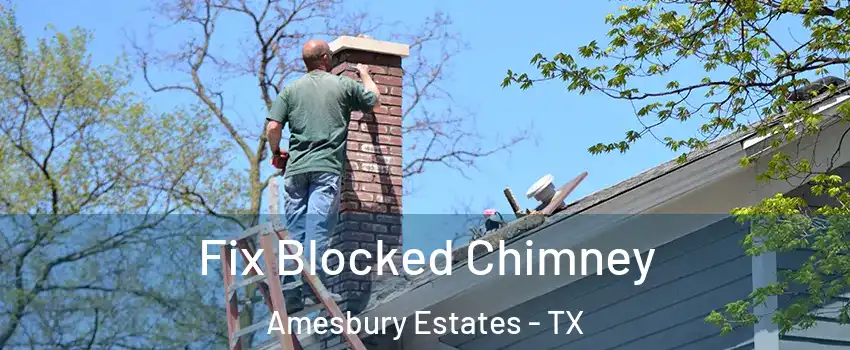 Fix Blocked Chimney Amesbury Estates - TX