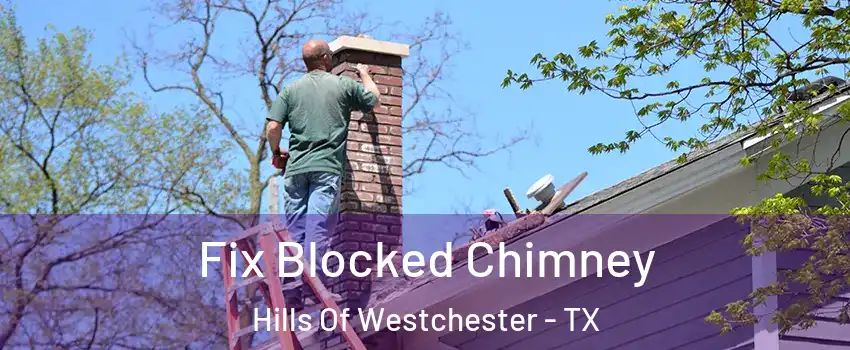 Fix Blocked Chimney Hills Of Westchester - TX
