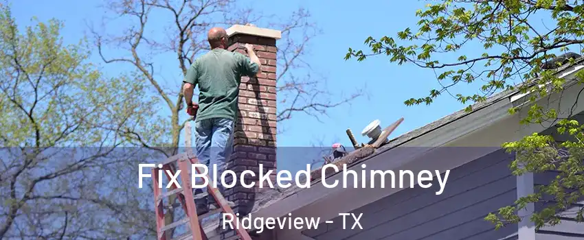 Fix Blocked Chimney Ridgeview - TX