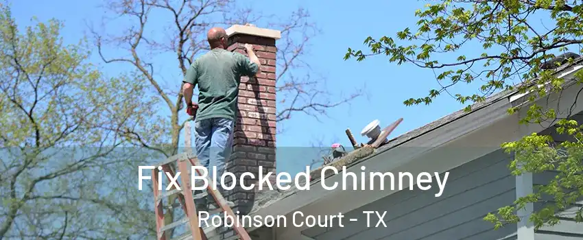 Fix Blocked Chimney Robinson Court - TX