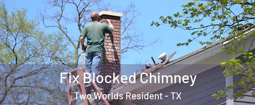 Fix Blocked Chimney Two Worlds Resident - TX