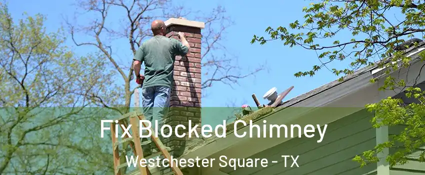 Fix Blocked Chimney Westchester Square - TX