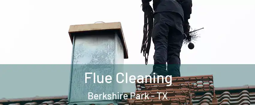 Flue Cleaning Berkshire Park - TX