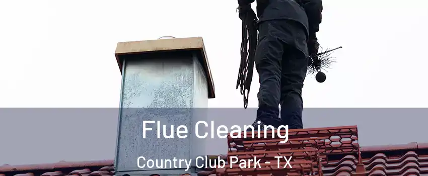 Flue Cleaning Country Club Park - TX