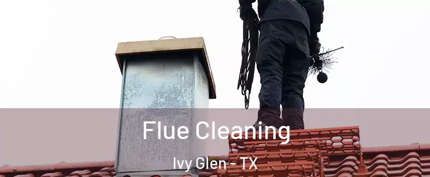 Flue Cleaning Ivy Glen - TX
