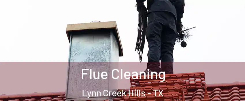 Flue Cleaning Lynn Creek Hills - TX