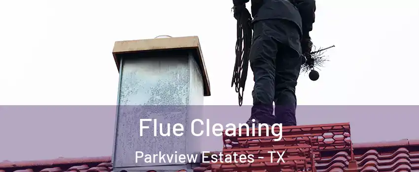 Flue Cleaning Parkview Estates - TX