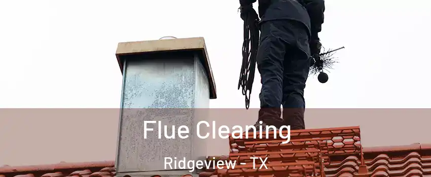 Flue Cleaning Ridgeview - TX