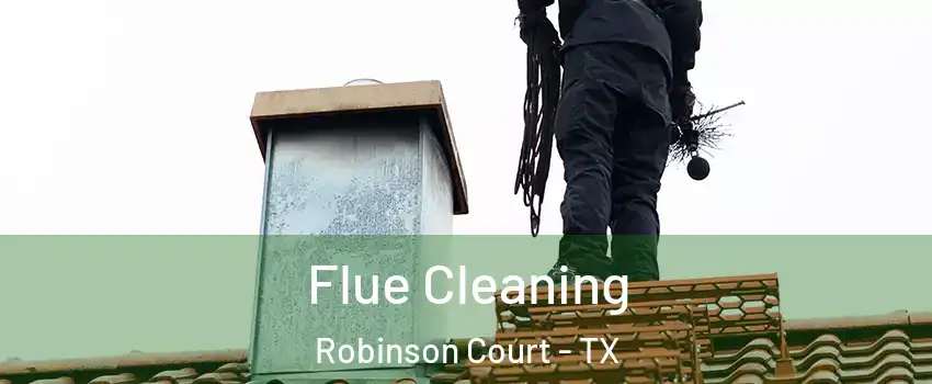 Flue Cleaning Robinson Court - TX