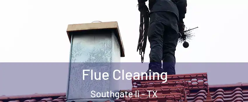 Flue Cleaning Southgate Ii - TX