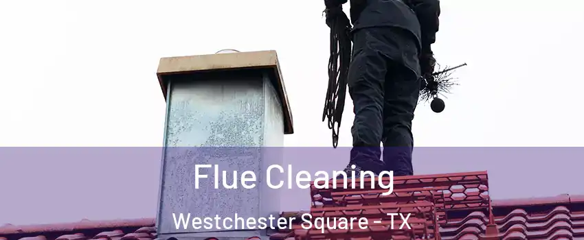 Flue Cleaning Westchester Square - TX