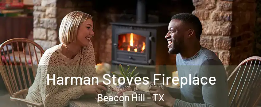 Harman Stoves Fireplace Beacon Hill - TX