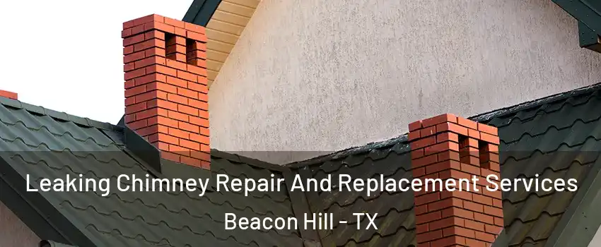 Leaking Chimney Repair And Replacement Services Beacon Hill - TX
