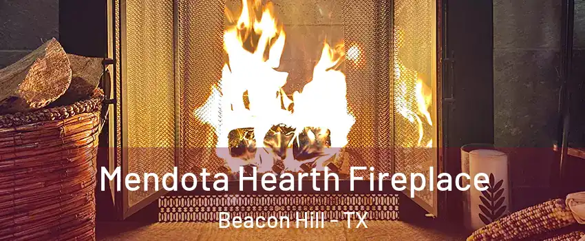 Mendota Hearth Fireplace Beacon Hill - TX