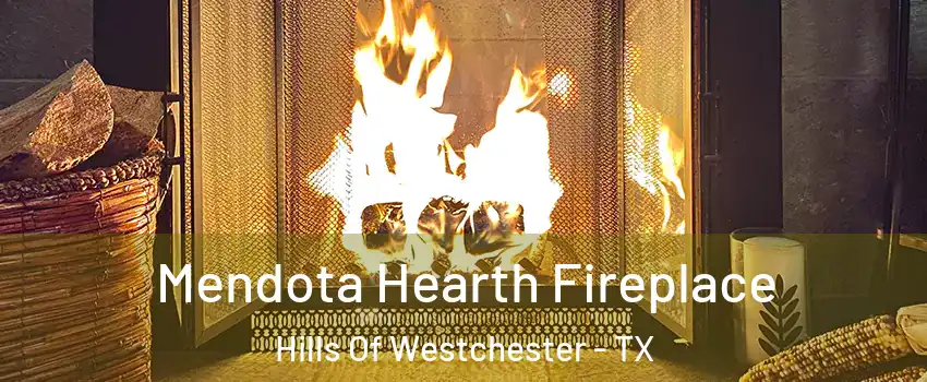 Mendota Hearth Fireplace Hills Of Westchester - TX