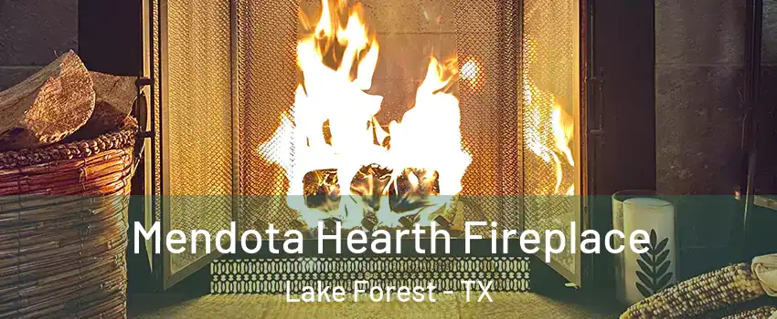 Mendota Hearth Fireplace Lake Forest - TX