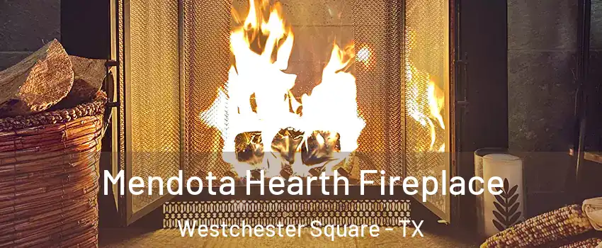Mendota Hearth Fireplace Westchester Square - TX