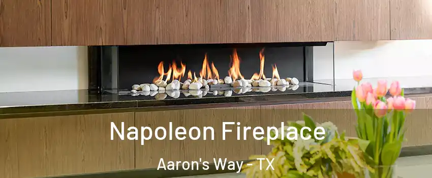 Napoleon Fireplace Aaron's Way - TX