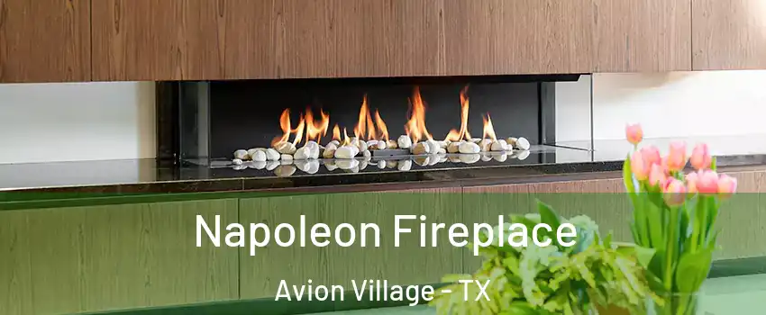 Napoleon Fireplace Avion Village - TX