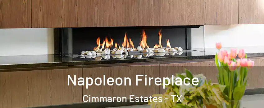 Napoleon Fireplace Cimmaron Estates - TX