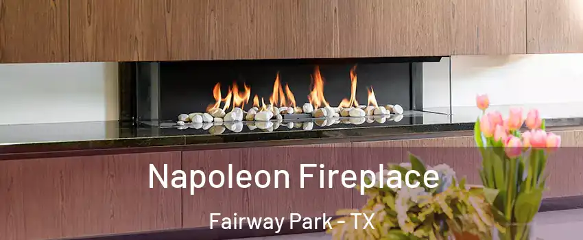 Napoleon Fireplace Fairway Park - TX