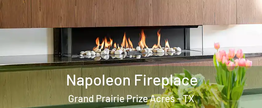 Napoleon Fireplace Grand Prairie Prize Acres - TX