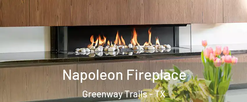 Napoleon Fireplace Greenway Trails - TX