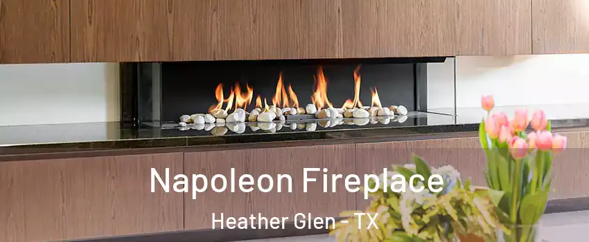 Napoleon Fireplace Heather Glen - TX