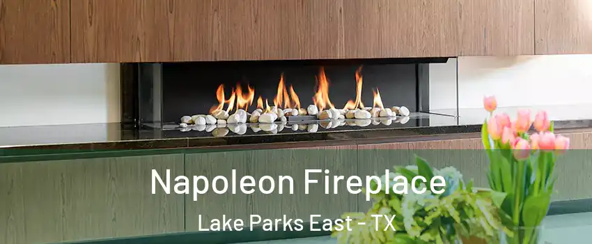 Napoleon Fireplace Lake Parks East - TX