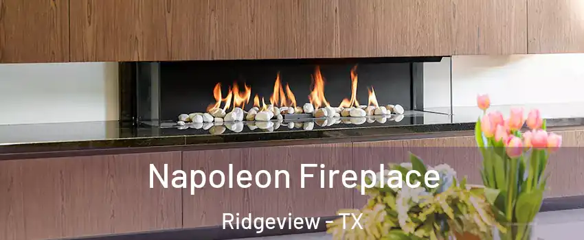 Napoleon Fireplace Ridgeview - TX