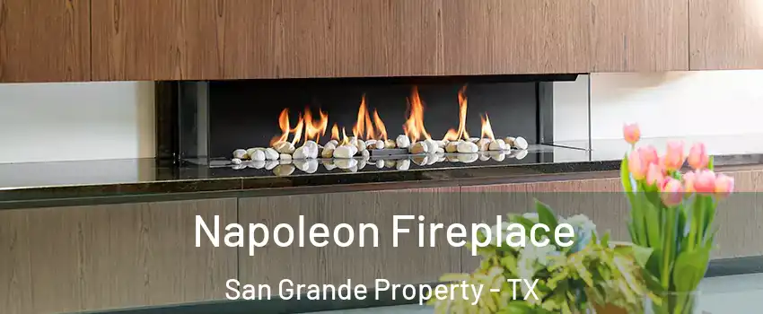 Napoleon Fireplace San Grande Property - TX