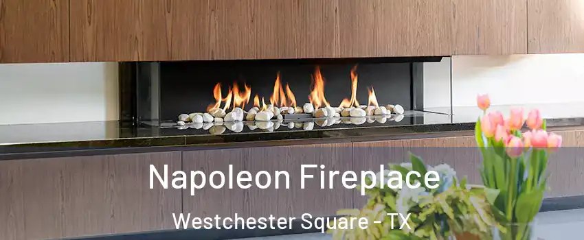 Napoleon Fireplace Westchester Square - TX