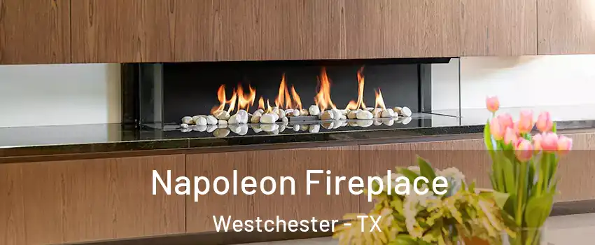 Napoleon Fireplace Westchester - TX