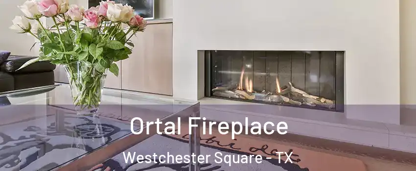 Ortal Fireplace Westchester Square - TX