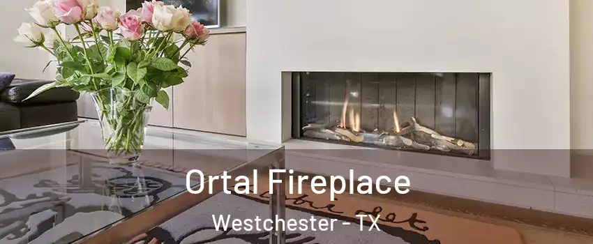 Ortal Fireplace Westchester - TX