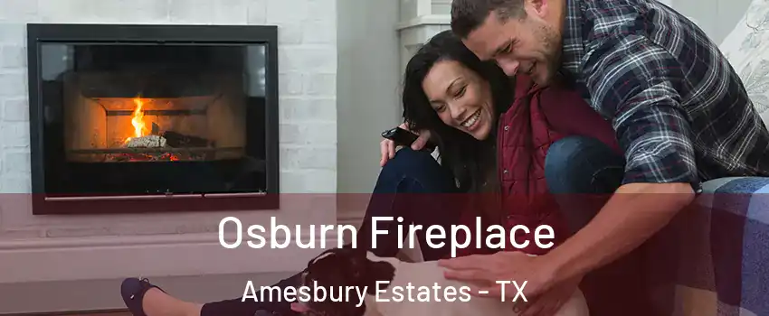 Osburn Fireplace Amesbury Estates - TX
