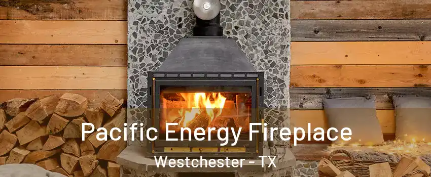 Pacific Energy Fireplace Westchester - TX