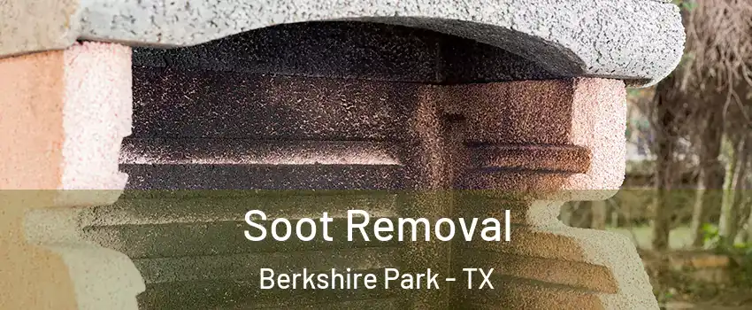 Soot Removal Berkshire Park - TX