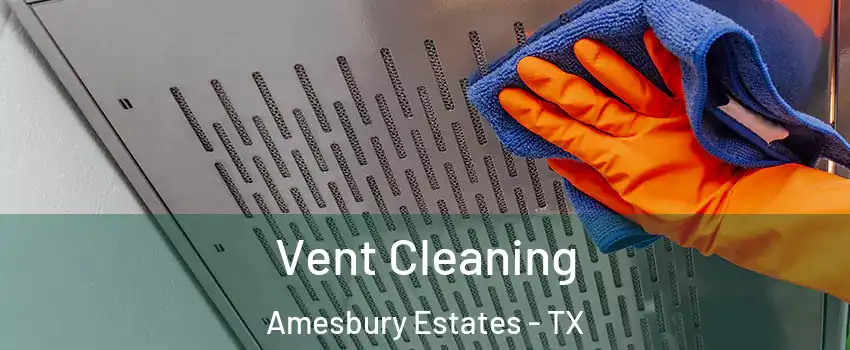 Vent Cleaning Amesbury Estates - TX