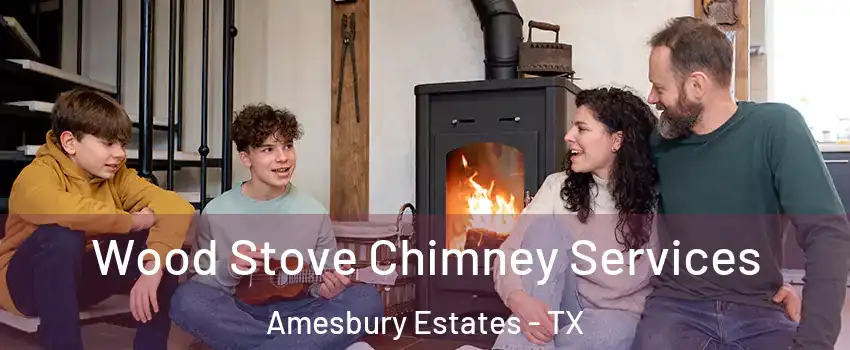 Wood Stove Chimney Services Amesbury Estates - TX