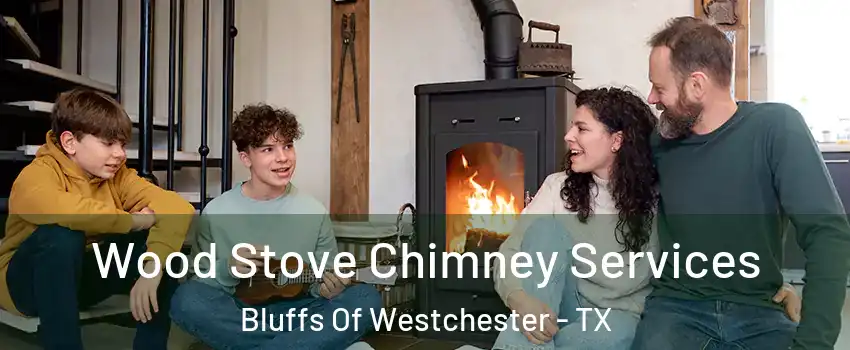 Wood Stove Chimney Services Bluffs Of Westchester - TX